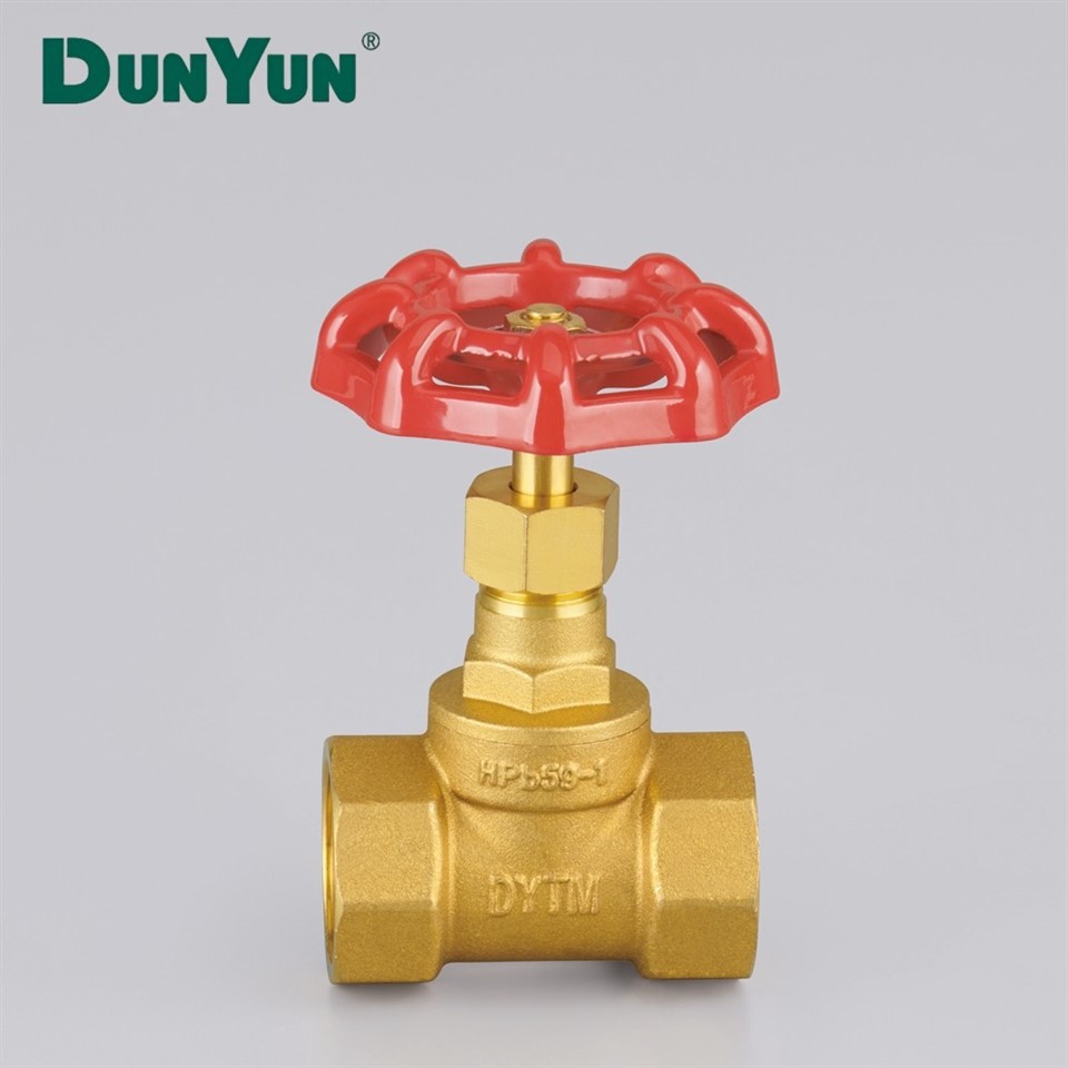 Brass One-Way Check Valve With Filter Mesh factory