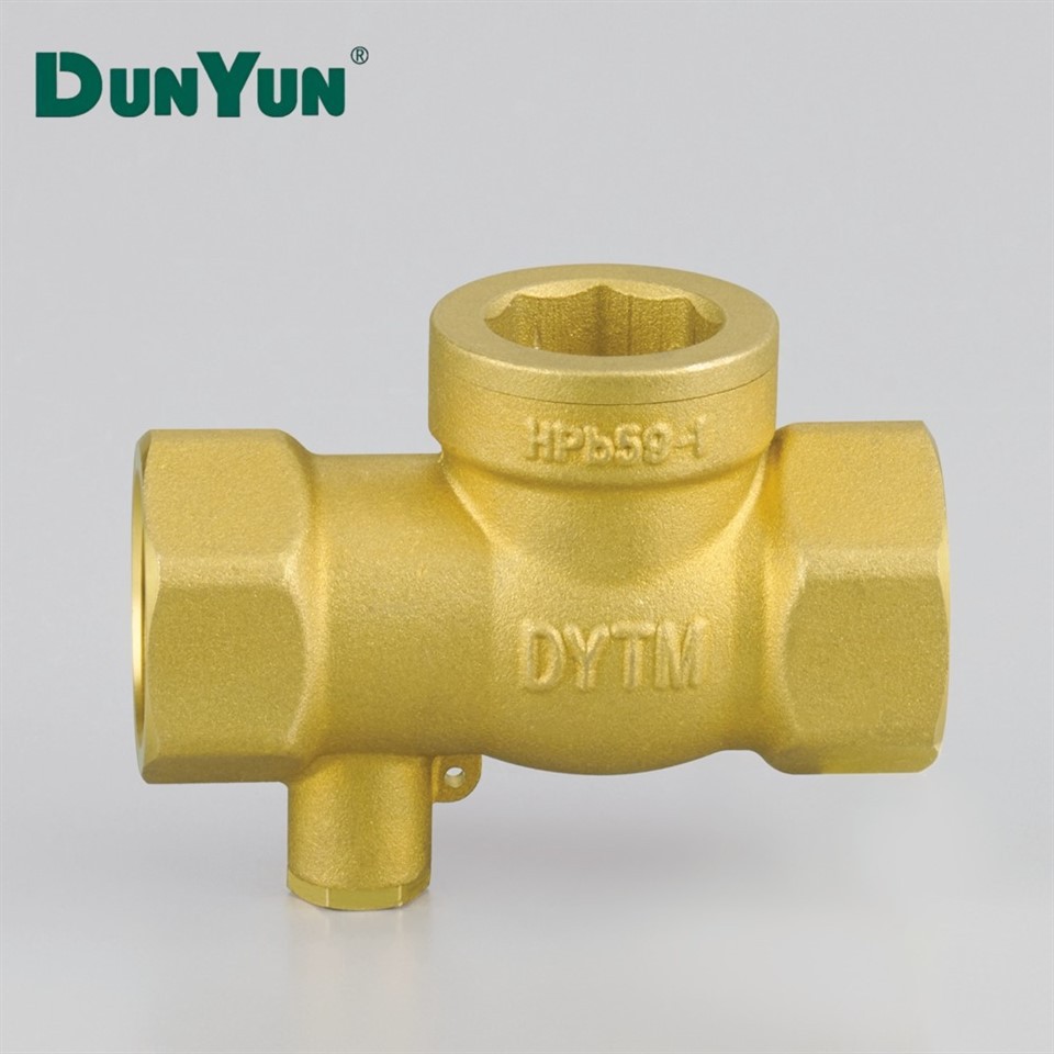 Brass One-Way Check Valve With Filter Mesh best