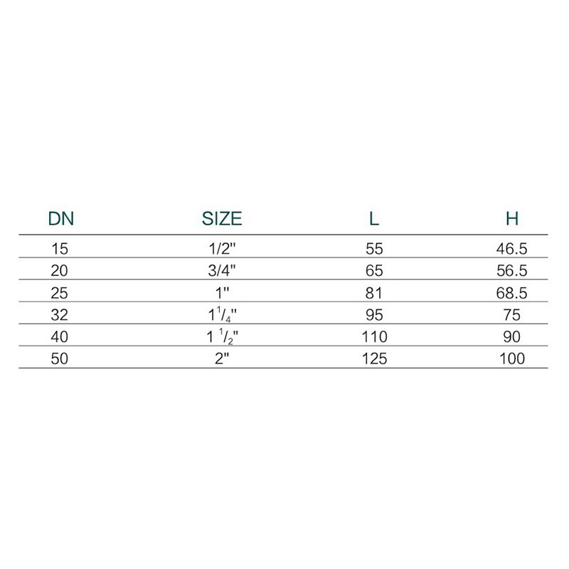 Female Y Strainer best