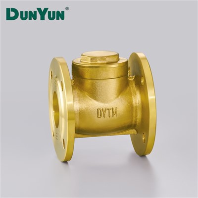 Brass Flange Check No Return Valve