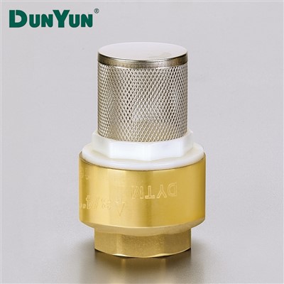 Brass One-Way Check Valve With Filter Mesh