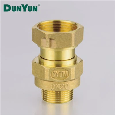 Brass Union Check Valve Connect To Meter
