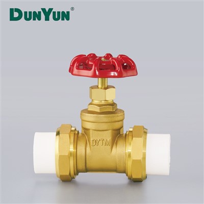 Double Union Brass Gate Valve With PPR Adaptor