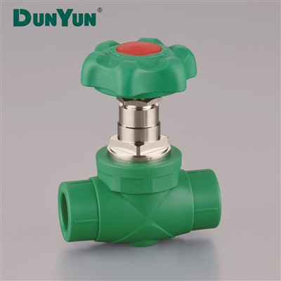 DUNYUN PPR Pipe Fittings Gate Valve Manufacturer