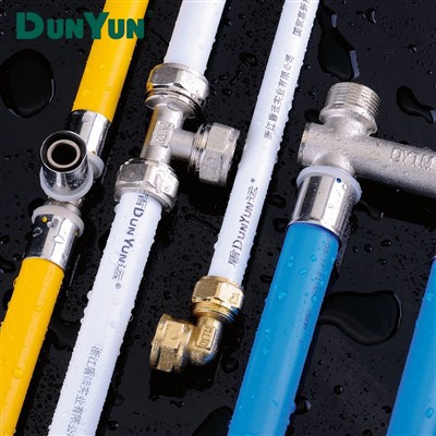 Secure Connection Brass PEX Press Fittings